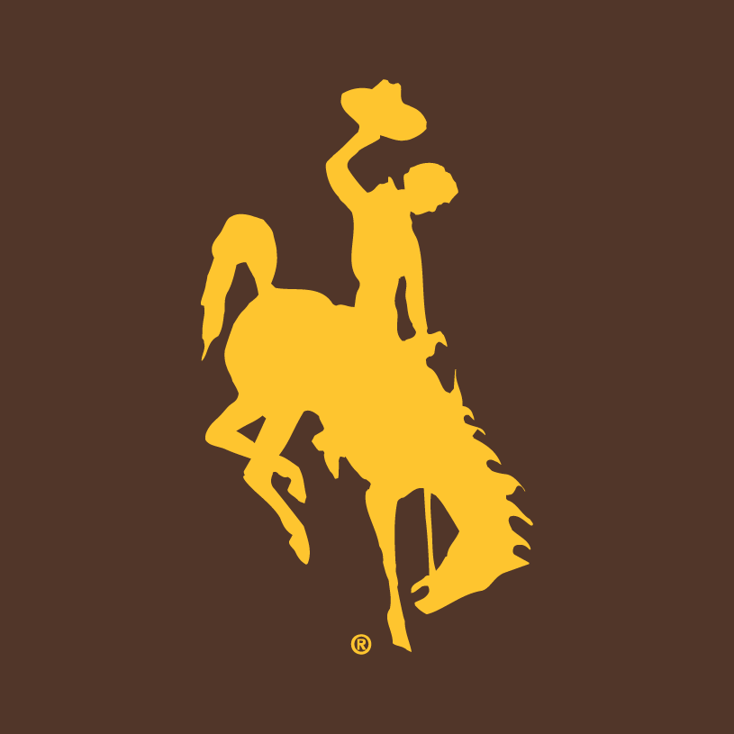 Wyoming Cowboys 2006-Pres Alternate Logo v2 diy iron on heat transfer...